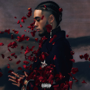 宰杀女畜屠宰场穿刺杆视频全过程
